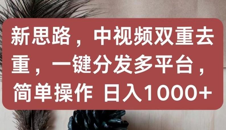 新思路，中视频双重去重，一键分发多平台，简单操作，日入1000+【揭秘】-一个公司创业项目 - 淘金吧