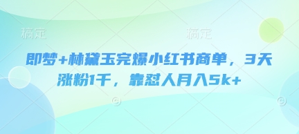 即梦+林黛玉完爆小红书商单,3天涨粉1千,靠怼人月入5k+-一个公司创业项目 - 淘金吧