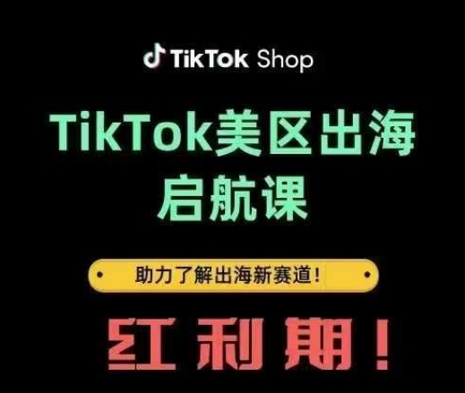 TikTok出海启航课(美区)助力了解出海红利新赛道-一人公司创业项目 - 淘金吧