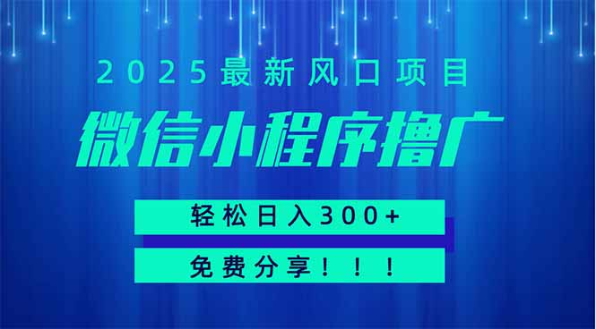 微信小程序撸广，最新风口项目，日入300+ 免费分享 可批量操作 小白可…-一人公司创业项目 - 淘金吧