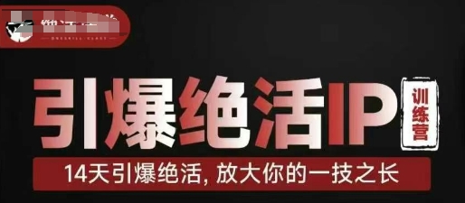 引爆绝活IP训练营，14天引爆绝活，放大你的一技之长-一人公司创业项目 - 淘金吧