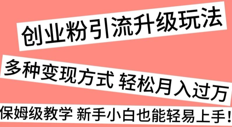 创业粉引流升级玩法，多种变现方式轻松月入过万，保姆级教学新手小白也能轻易上手！-一人公司创业项目 - 淘金吧