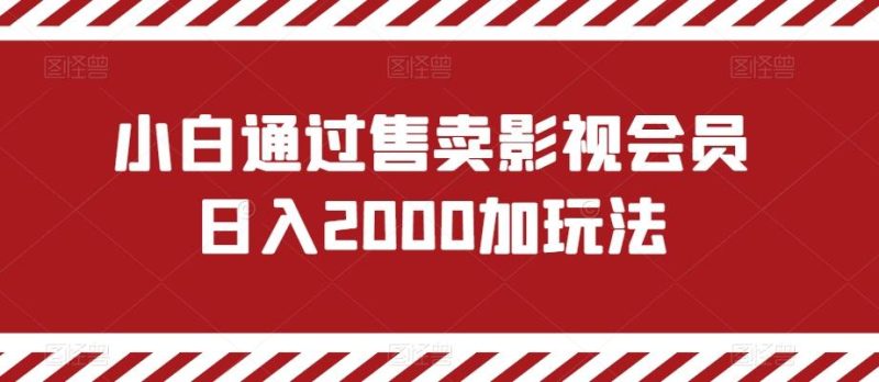 小白通过售卖影视会员日入2000加玩法-一人公司创业项目 - 淘金吧