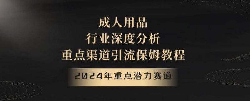 2024年重点潜力赛道，成人用品行业深度分析，重点渠道引流保姆教程【揭秘】-一人公司创业项目 - 淘金吧