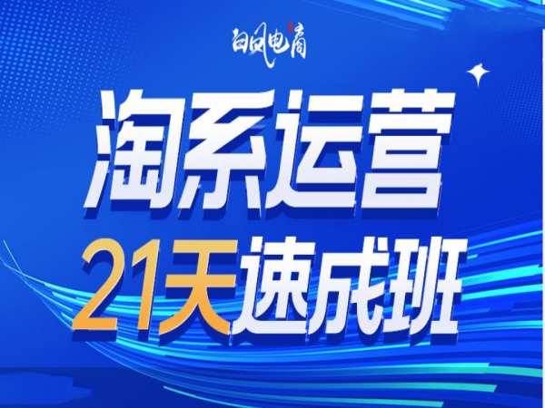 淘系运营21天速成班35期,年前最后一波和2025方向-一个公司创业项目 - 淘金吧
