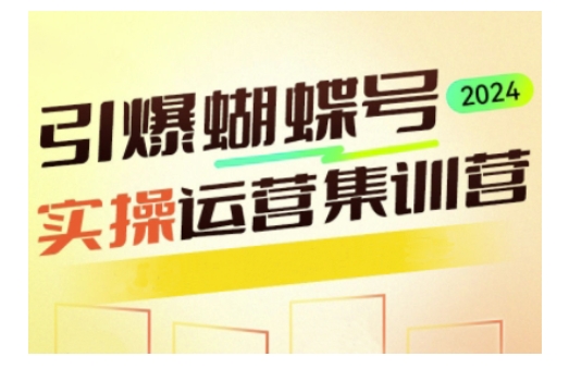 引爆蝴蝶号实操运营,助力你深度掌握蝴蝶号运营,实现高效实操,开启流量变现之路-一人公司创业项目 - 淘金吧