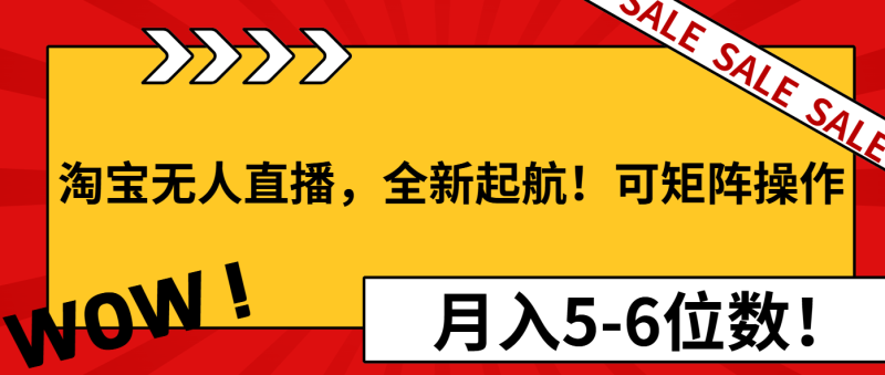 淘宝无人直播，全新起航！可矩阵操作，月入5-6位数！-一人公司创业项目 - 淘金吧