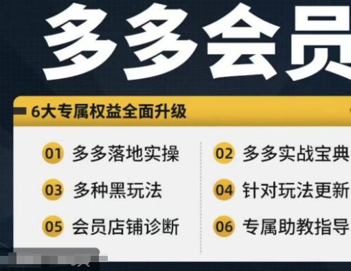 拼多多会员,拼多多实战宝典+实战落地实操,从新手到高阶内容全面覆盖-一个公司创业项目 - 淘金吧