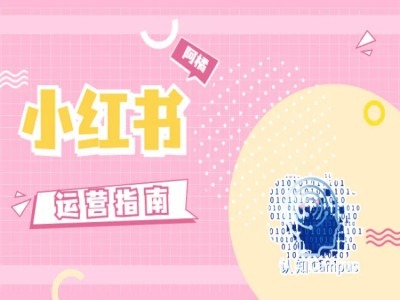 小红书运营指南,没有套路,全是经验-一人公司创业项目 - 淘金吧