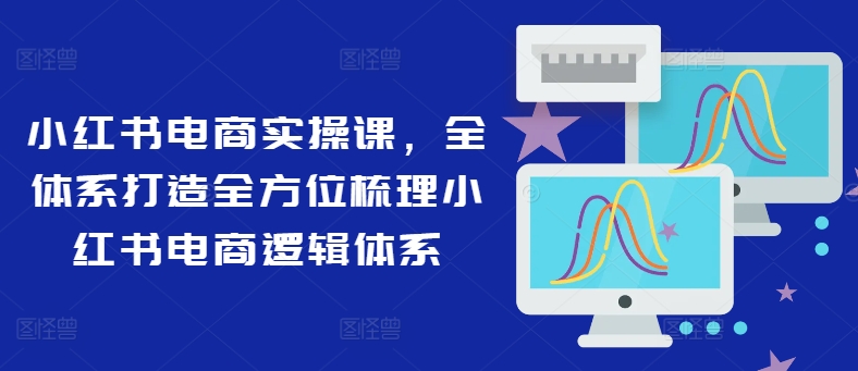 小红书电商实操课，全体系打造全方位梳理小红书电商逻辑体系-一人公司创业项目 - 淘金吧