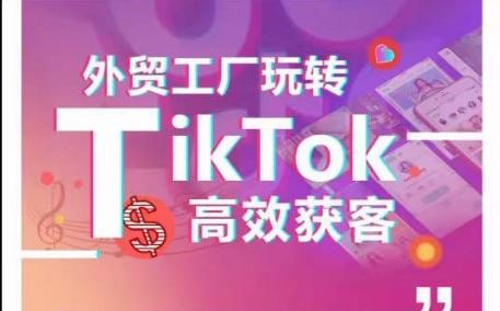 外贸工厂玩转TikTok高效获客,多种引流方式与账号定位技巧,拆解爆款短视频打造成功案例-一个公司创业项目 - 淘金吧
