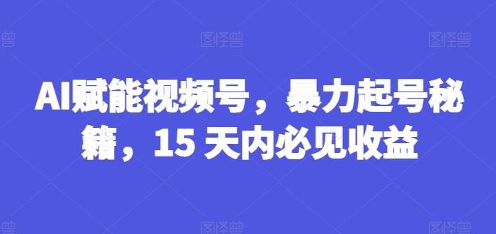 AI赋能视频号，暴力起号秘籍，15 天内必见收益【揭秘】-一个公司创业项目 - 淘金吧