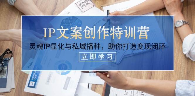 IP文案创作特训营,灵魂IP显化与私域播种,助你打造变现闭环(14节课)-一个公司创业项目 - 淘金吧