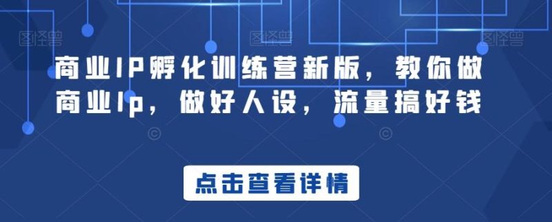 商业IP孵化训练营新版,教你做商业Ip,做好人设,流量搞好钱-一个公司创业项目 - 淘金吧