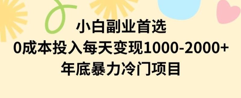 小白副业首选，0成本投入，每天变现1000-2000年底暴力冷门项目【揭秘】-一个公司创业项目 - 淘金吧