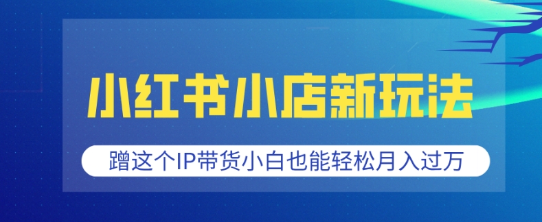 小红书小店新玩法,蹭这个IP带货,小白也能轻松月入过W【揭秘】-一个公司创业项目 - 淘金吧