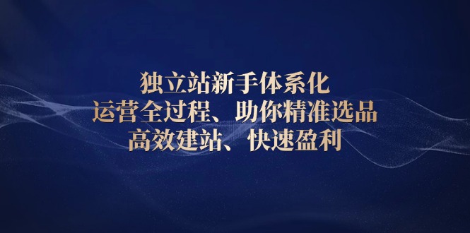 独立站新手体系化 运营全过程，助你精准选品、高效建站、快速盈利-一个公司创业项目 - 淘金吧