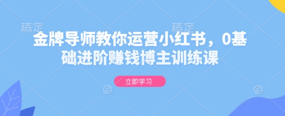 金牌导师教你运营小红书,0基础进阶赚钱博主训练课-一个公司创业项目 - 淘金吧