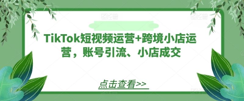 TikTok短视频运营+跨境小店运营,账号引流、小店成交-一个公司创业项目 - 淘金吧