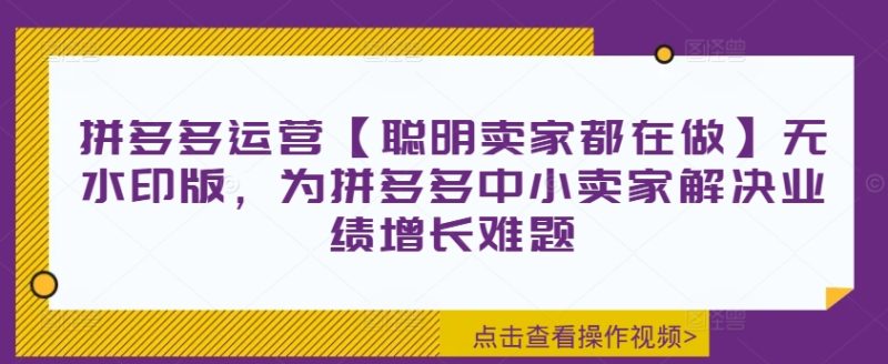 拼多多运营【聪明卖家都在做】无水印版,为拼多多中小卖家解决业绩增长难题-一个公司创业项目 - 淘金吧