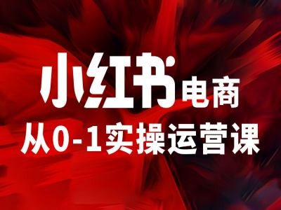 小红书电商从0-1实操运营课，让你从小白到精英-一个公司创业项目 - 淘金吧