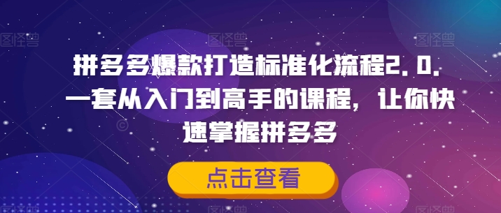 拼多多爆款打造标准化流程2.0，一套从入门到高手的课程，让你快速掌握拼多多-一个公司创业项目 - 淘金吧