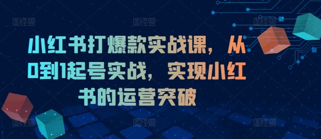 小红书打爆款实战课，从0到1起号实战，实现小红书的运营突破-一个公司创业项目 - 淘金吧
