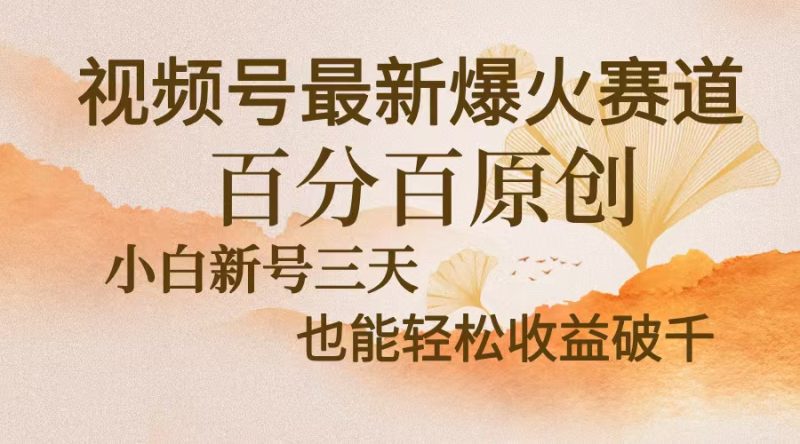 视频号最新爆火赛道，中老年粉深信不疑，百分百原创，新号三天收益轻松…-一个公司创业项目 - 淘金吧