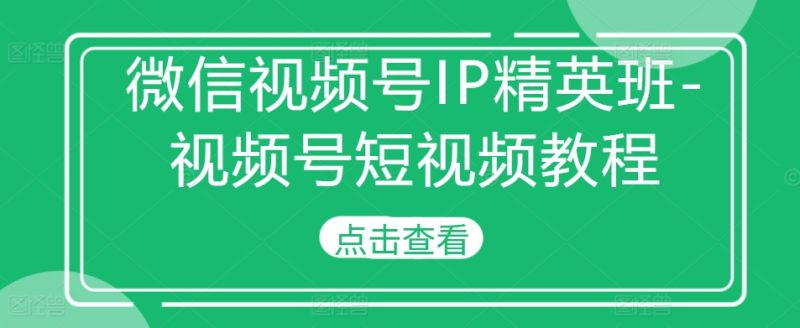 微信视频号IP精英班-视频号短视频教程-一个公司创业项目 - 淘金吧
