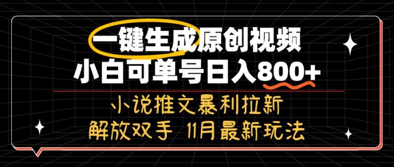 11月最新玩法小说推文暴利拉新,一键生成原创视频,小白可单号日入800+…-一个公司创业项目 - 淘金吧