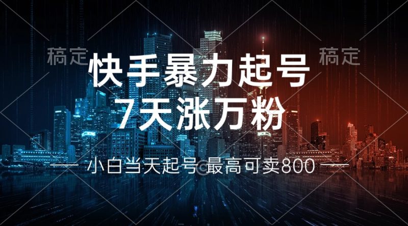 快手暴力起号，7天涨万粉，小白当天起号 多种变现方式，账号回收，单月…-一个公司创业项目 - 淘金吧