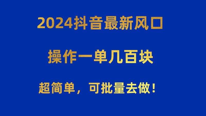 2024抖音最新风口！操作一单几百块！超简单，可批量去做！！！-一个公司创业项目 - 淘金吧