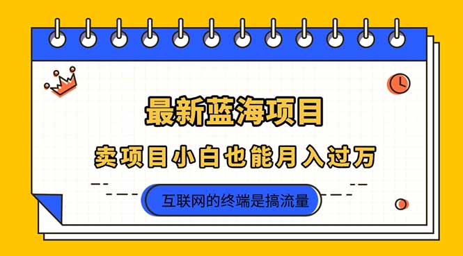 2025年最新蓝海项目，卖项目小白也能月入过万-一个公司创业项目 - 淘金吧