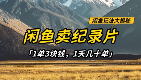 闲鱼卖纪录片1单3块钱,1天几十单,项目稳定有潜力-一个公司创业项目 - 淘金吧