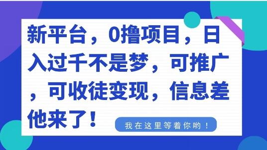 不要再花冤枉钱了，0撸项目，每天坚持，稳定1000+-一个公司创业项目 - 淘金吧