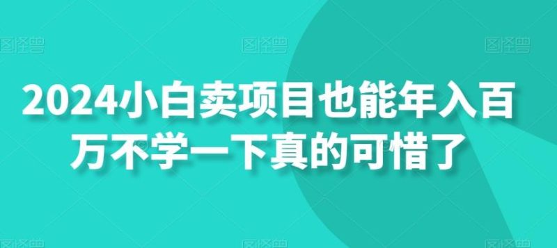 2024小白卖项目也能年入百万不学一下真的可惜了-一个公司创业项目 - 淘金吧