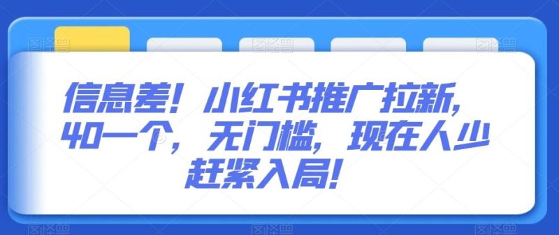 信息差！小红书推广拉新，40一个，无门槛，现在人少赶紧入局！-一个公司创业项目 - 淘金吧