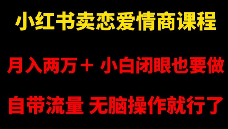 小红书卖恋爱情商课程，月入两万＋，小白闭眼也要做，自带流量，无脑操作就行了【揭秘】-一个公司创业项目 - 淘金吧