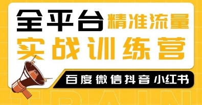 全平台精准流量实战训练营，百度微信抖音小红书SEO引流教程-一个公司创业项目 - 淘金吧