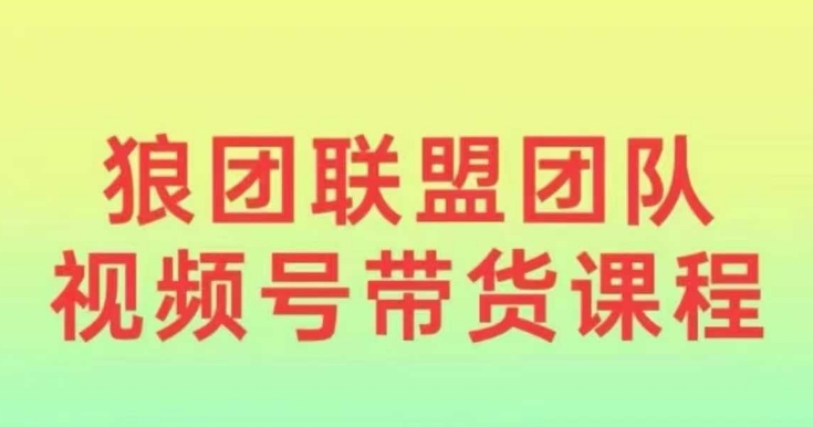 狼团联盟2024视频号带货,0基础小白快速入局视频号-一个公司创业项目 - 淘金吧