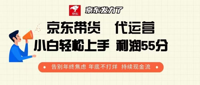 京东带货 代运营 利润55分 告别年终焦虑 年底不打烊 持续现金流-一个公司创业项目 - 淘金吧