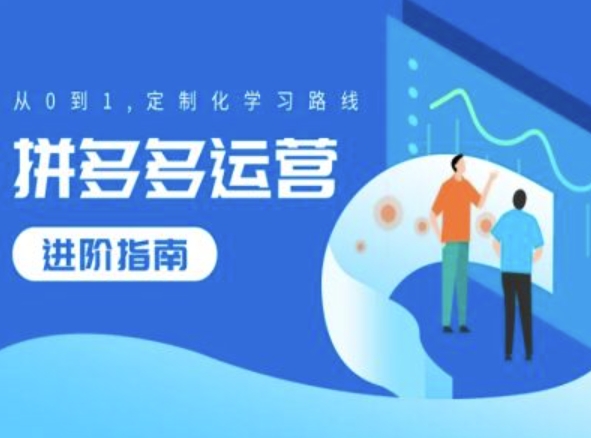 拼多多运营进阶指南，从0到1定制化学习路线-一个公司创业项目 - 淘金吧