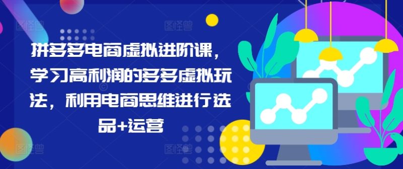 拼多多电商虚拟进阶课,学习高利润的多多虚拟玩法,利用电商思维进行选品+运营(更新)-一个公司创业项目 - 淘金吧