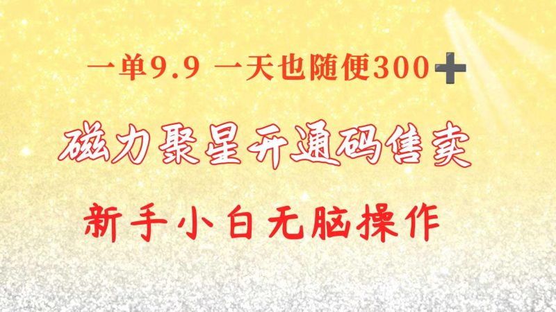 快手磁力聚星码信息差 售卖  一单卖9.9  一天也轻松300+ 新手小白无脑操作-一个公司创业项目 - 淘金吧