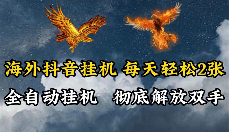 海外抖音挂机，每天轻松2张，全自动挂机，彻底解放双手！-一个公司创业项目 - 淘金吧
