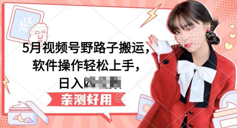 5月视频号野路子搬运，软件操作轻松上手，日入三位数【揭秘】-一个公司创业项目 - 淘金吧