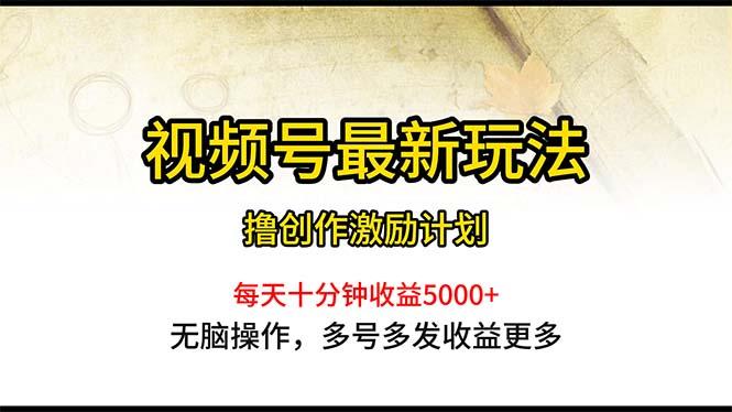 视频号最新玩法，每日一小时月入5000+-一个公司创业项目 - 淘金吧