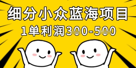 细分小众蓝海项目,一单利润3张,每月收入稳定过1w+-一个公司创业项目 - 淘金吧