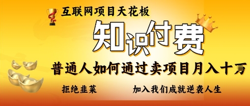 互联网项目天花板,知付付费项目,普通人如何通过卖项目月入十个,拒绝韭菜【揭秘】-一个公司创业项目 - 淘金吧