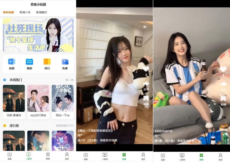 (8542期)小剧场短剧影视系统源码 全开源 带支付收益+会员机制+代理推广等模式【…-一个公司创业项目 - 淘金吧